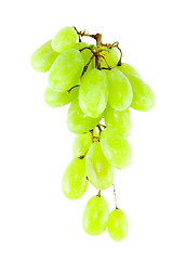 Image showing Bunch of Grapes