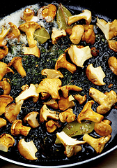 Image showing Chanterelles Fried in Pan