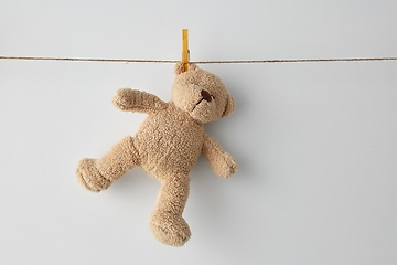 Image showing soft teddy bear toy hanging on clothesline