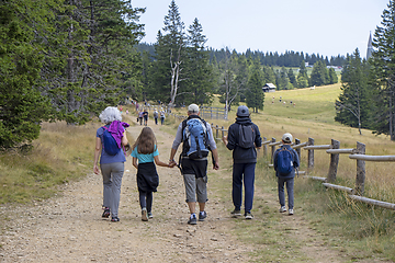 Image showing Family with small children hiking outdoors in summer nature, wal
