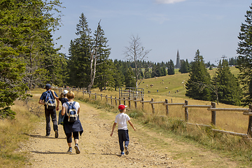 Image showing Family with small children hiking outdoors in summer nature, wal