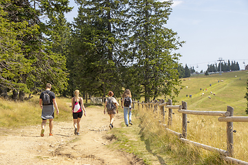 Image showing Group of people walking by hiking trail, in Rogla, Slovenia