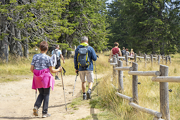 Image showing Group of people walking by hiking trail, in Rogla, Slovenia