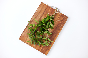 Image showing bunch of fresh peppermint on wooden cutting board