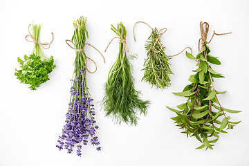 Image showing greens, spices or medicinal herbs on white