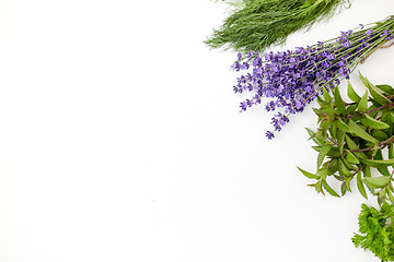 Image showing greens, spices or medicinal herbs on white