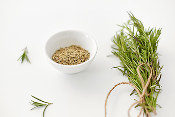 Image showing fresh and dry rosemary on white background