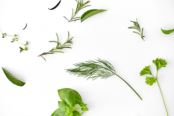 Image showing greens, spices or herbs on white background