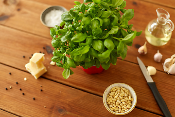 Image showing ingredients for basil pesto sauce on wooden table