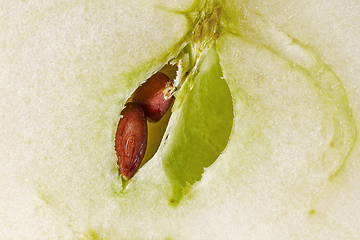 Image showing close up of apple seeds 