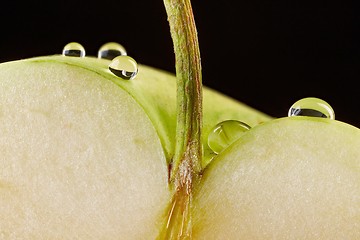 Image showing green apple macro