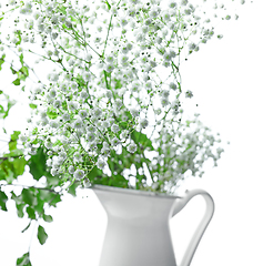 Image showing small white flowers background