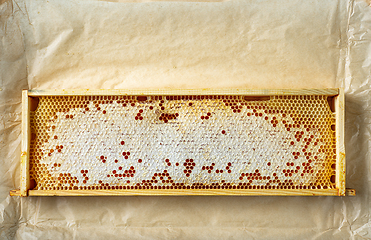 Image showing wooden frame of honey combs