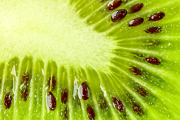 Image showing fresh green kiwi macro