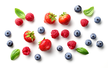 Image showing composition of fresh berries and green leaves