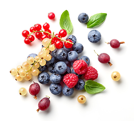 Image showing composition of fresh berries and green leaves