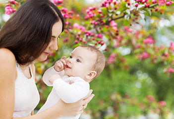 Image showing mother with baby over spring garden background