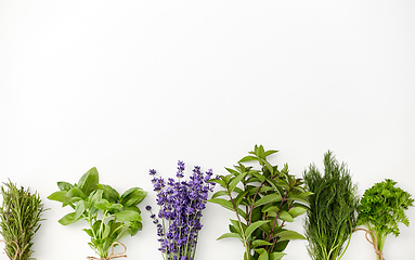 Image showing greens, spices or medicinal herbs on white