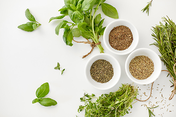 Image showing fresh and dry seasoning on white background