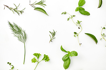 Image showing greens, spices or herbs on white background