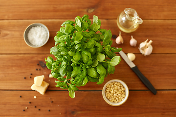 Image showing ingredients for basil pesto sauce on wooden table