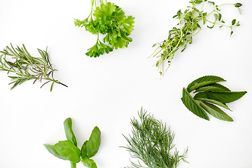 Image showing greens, spices or herbs on white background