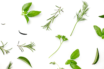 Image showing greens, spices or herbs on white background