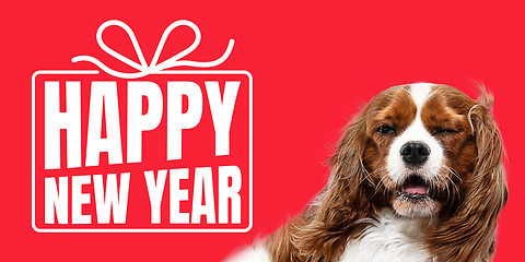 Image showing Young dog posing isolated on red studio background, wishes happy New Year