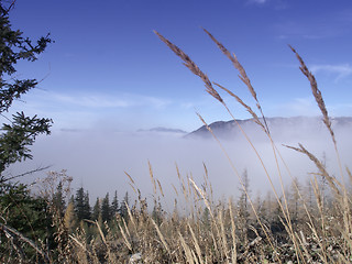 Image showing Above Clouds