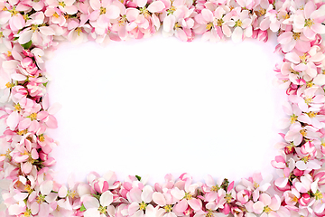 Image showing Spring Apple Blossom Flower Border