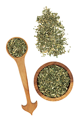 Image showing Avens Herb Leaves Herbal Medicine