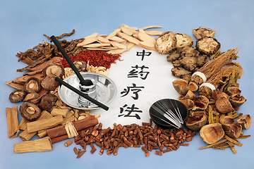 Image showing Traditional Chinese Herbal Therapy 