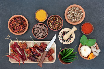 Image showing Fresh and Dried Herb and Spice Seasoning Assortment