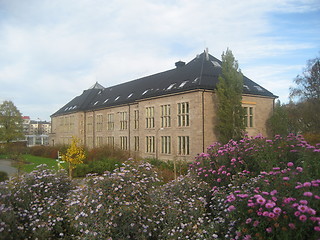 Image showing Botanical Garden, Oslo, Norway