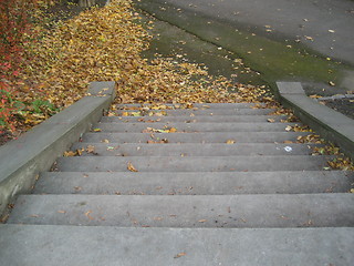 Image showing Looking down stairs in autumn