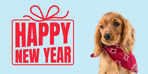 Image showing Young dog posing isolated on blue studio background, wishes happy New Year