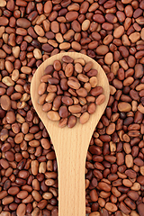 Image showing Healthy Organic Fava Beans 