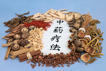 Image showing Traditional Chinese Herbal Therapy