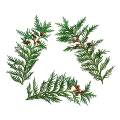Image showing Eco Symbol of Cedar Cypress Leaves   
