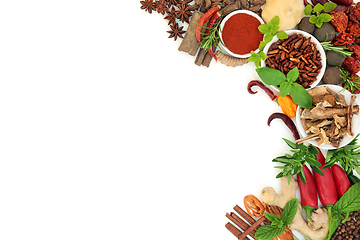 Image showing Herb and Spice Abstract Background Border