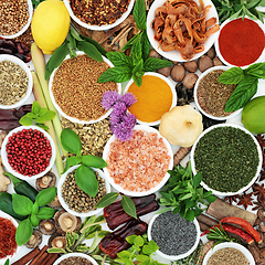 Image showing Herbs and Spices Collection for Healthy Eating