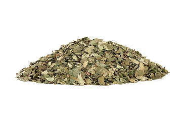 Image showing Dried Birch Leaves Herbal Medicine