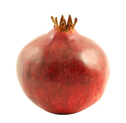 Image showing Pomegranate 