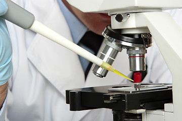 Image showing Laboratory scientist looking into microscope