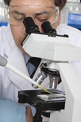 Image showing Scientist researcher with microscope