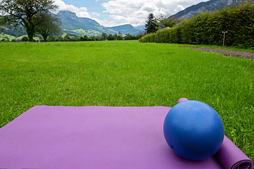 Image showing Fitness mat and ball on the green grass background