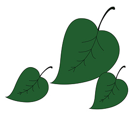 Image showing Leaves icon/Three deltoid-shaped leaves vector or color illustra