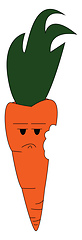 Image showing An angry bitten carrot vector or color illustration