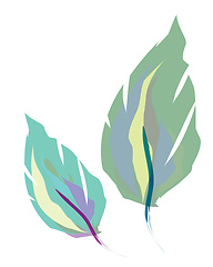 Image showing Two leaf shape feather vector or color illustration