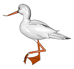 Image showing A bird Heron vector or color illustration